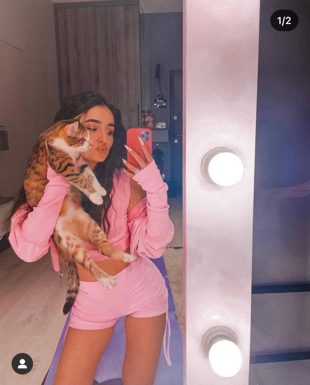 Українські зірки похвалилися своїми улюбленцями: сліпа кішка Буля і відразу 7 собак!